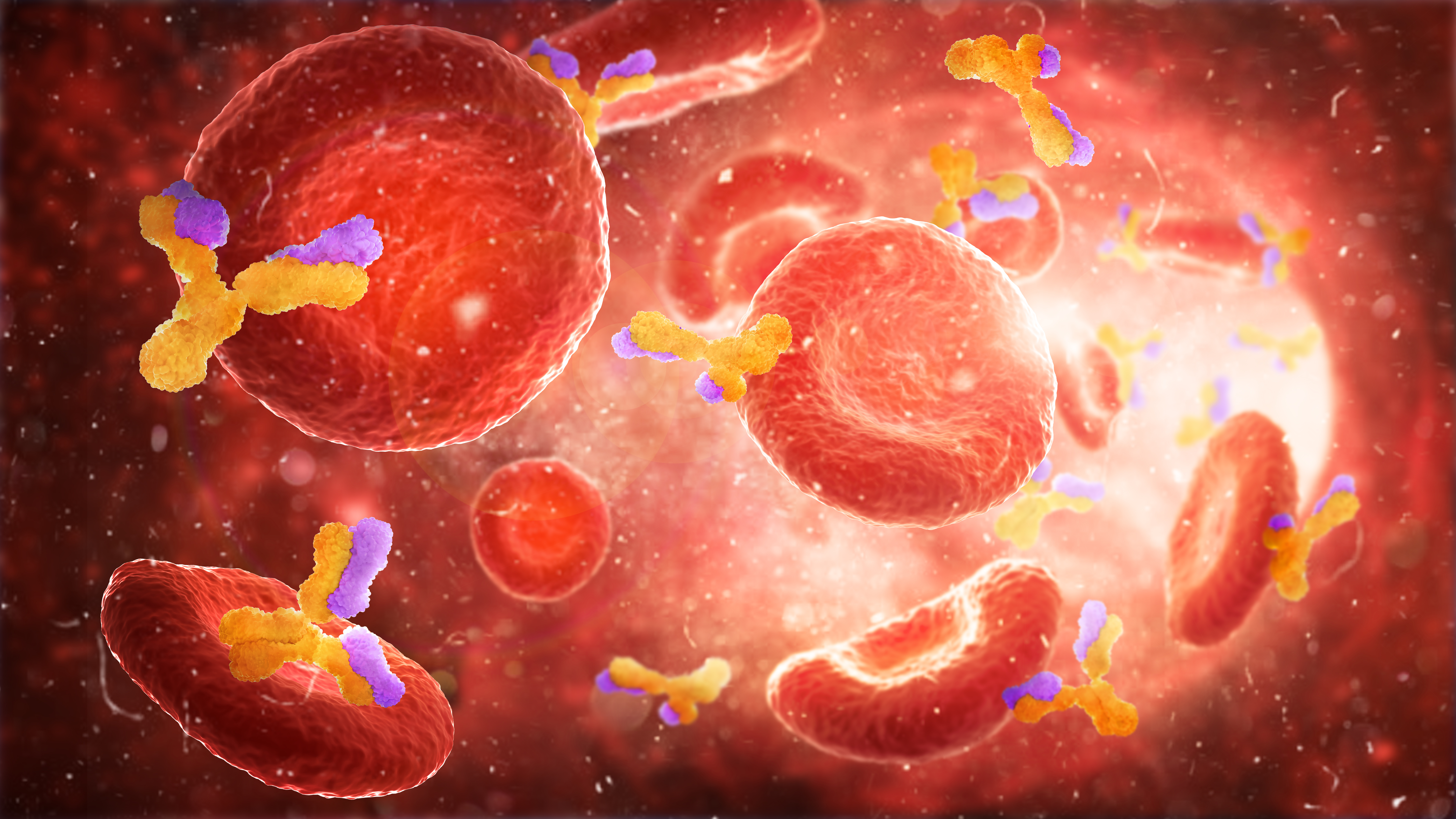 Enhancement of adaptive immune responses by post-inoculation administration of fenretinide…